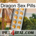 Dragon Sex Pills levitra1